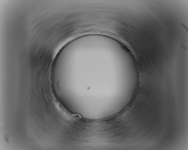 X0000100871530200807111305