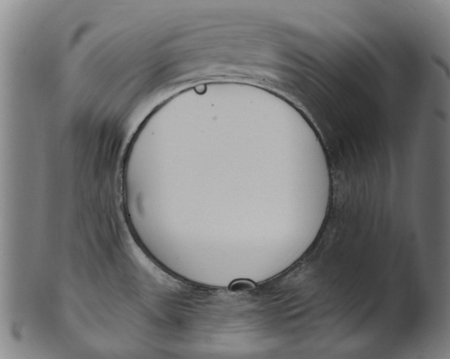 X0000100871531200807111305