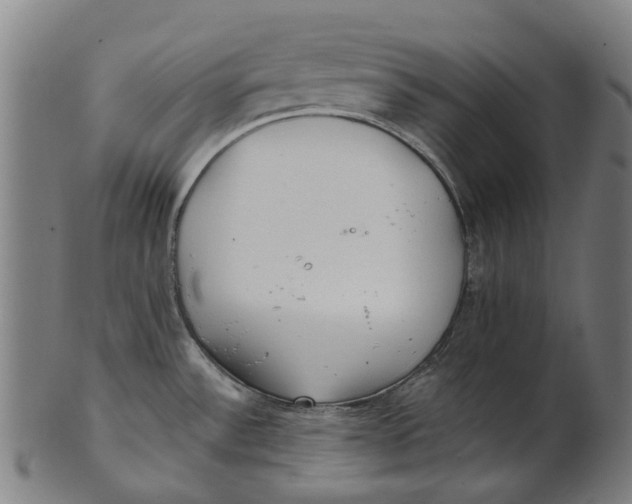 X0000100871532200807111305