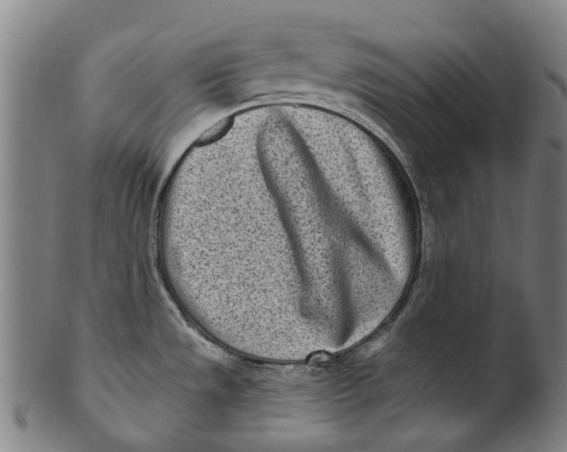 X0000100871533200807111305