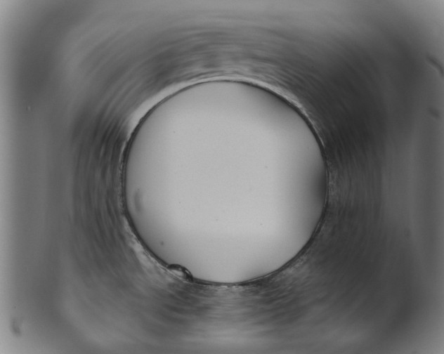 X0000100871534200807111305