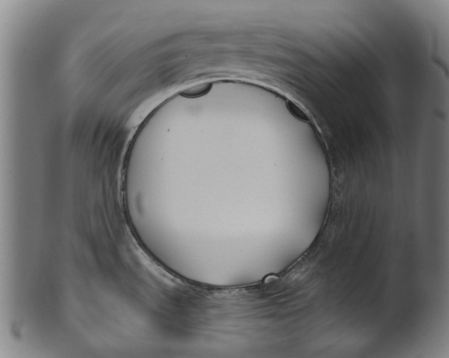 X0000100871535200807111305