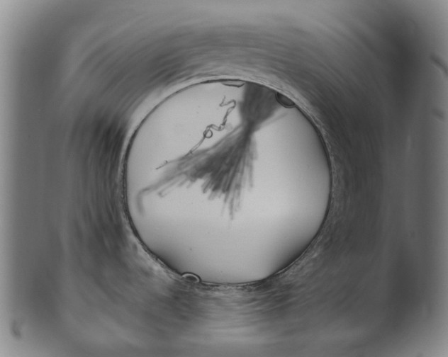 X0000100871536200807111305