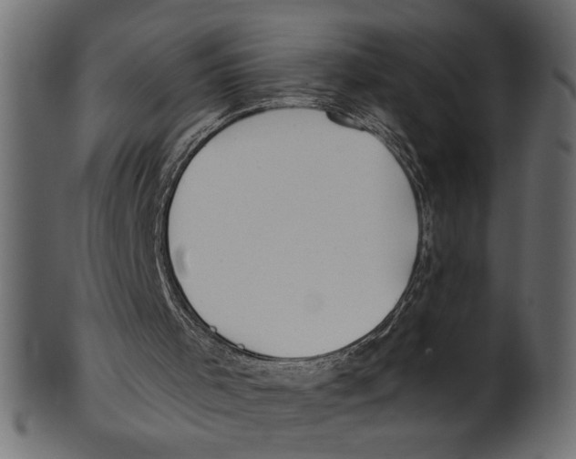 X0000100870001200807181247