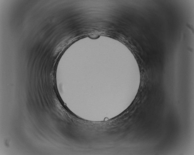 X0000100870002200807181247