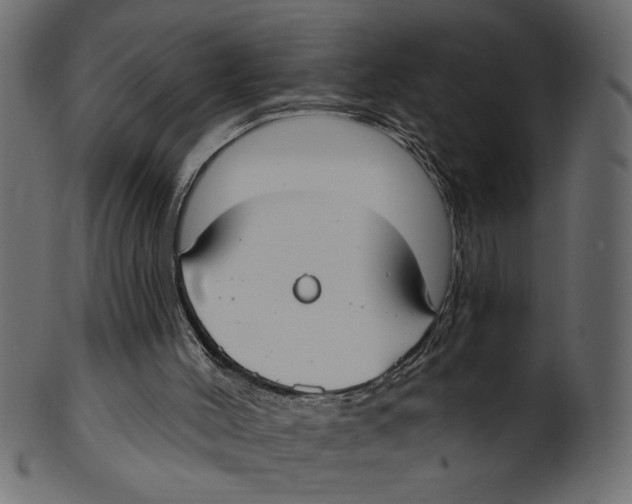 X0000100870004200807181247