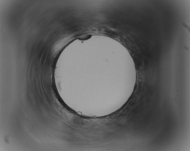 X0000100870005200807181247