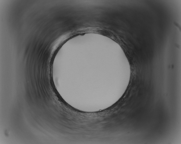 X0000100870006200807181247
