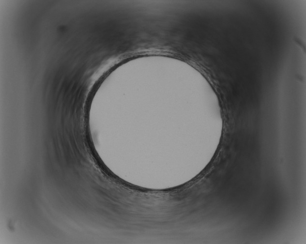 X0000100870008200807181247