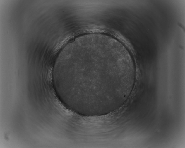 X0000100870009200807181247