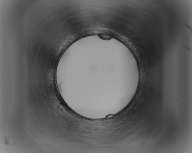 X0000100870010200807181247