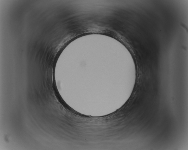 X0000100870011200807181247