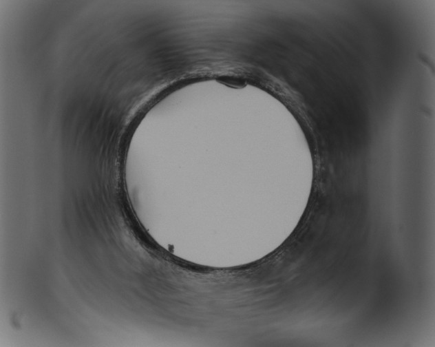 X0000100870012200807181247