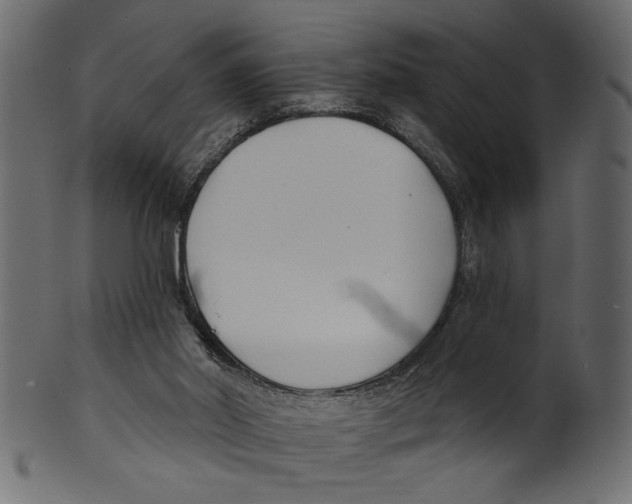 X0000100870014200807181247