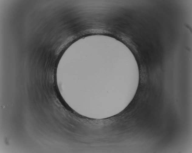 X0000100870015200807181247