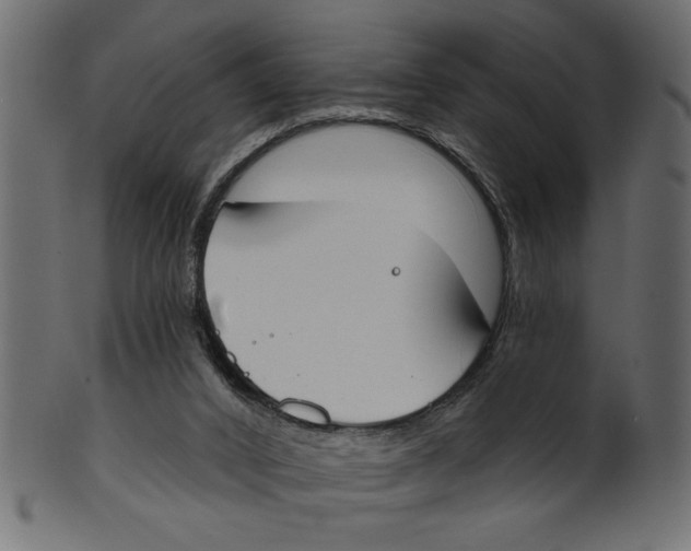 X0000100870016200807181247