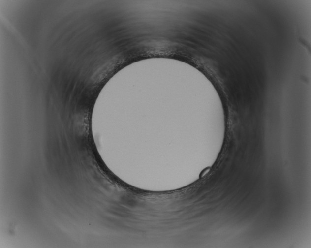 X0000100870017200807181247