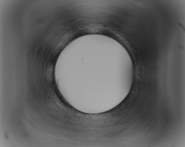 X0000100870018200807181247
