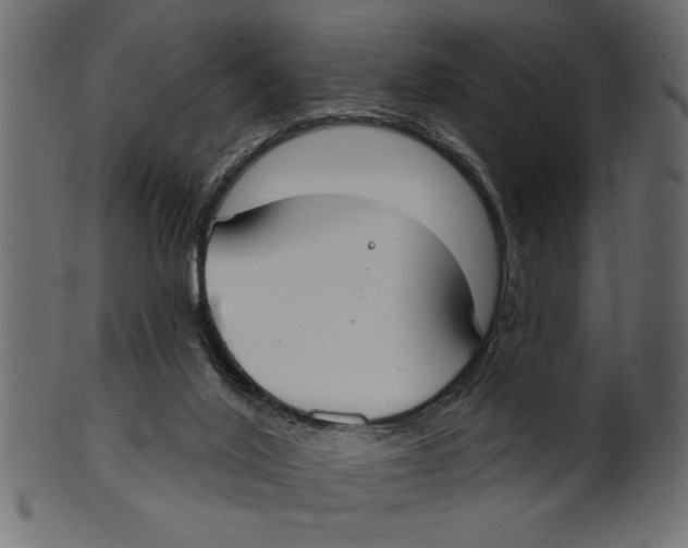 X0000100870020200807181247
