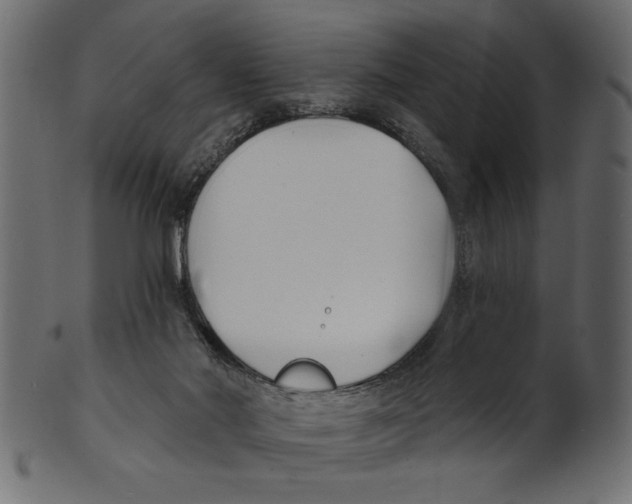 X0000100870022200807181246