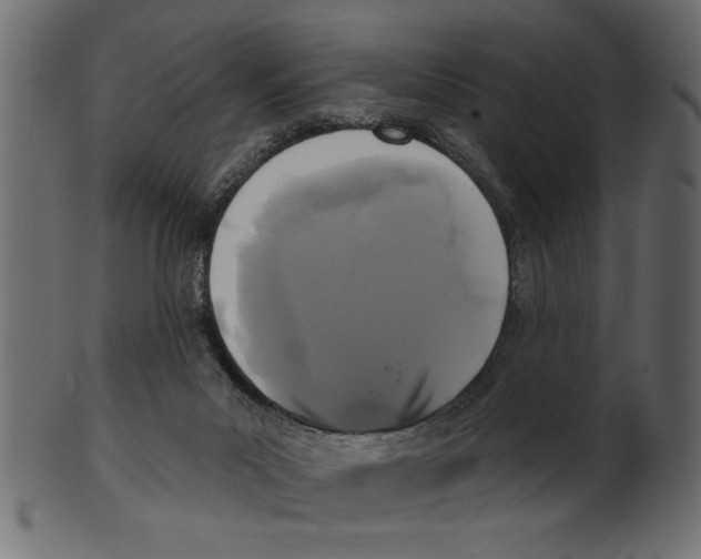 X0000100870023200807181246