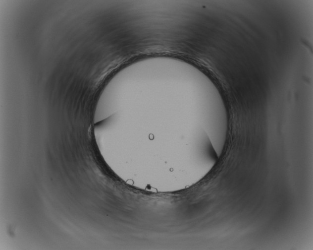 X0000100870024200807181246