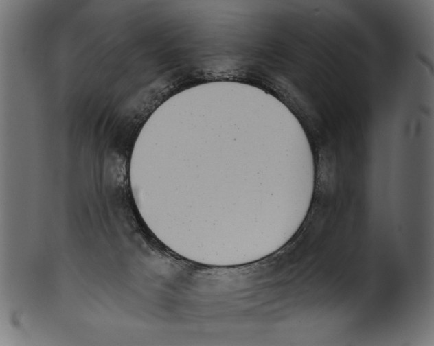 X0000100870025200807181246