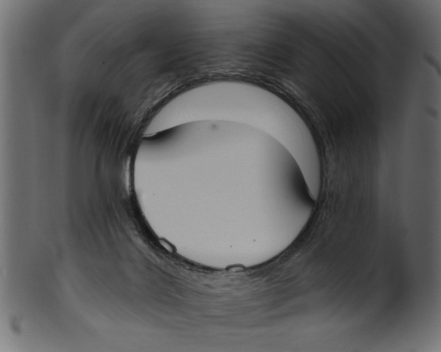 X0000100870028200807181246