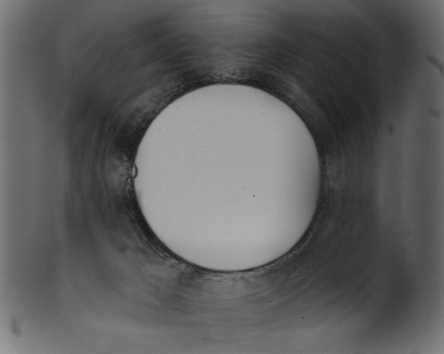 X0000100870029200807181246