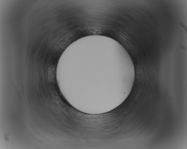 X0000100870030200807181246