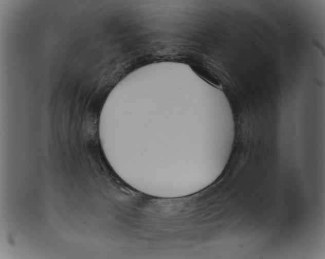 X0000100870033200807181246