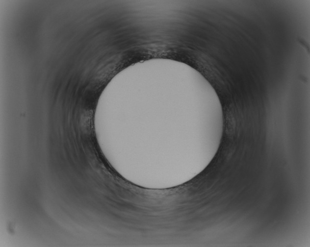 X0000100870034200807181246