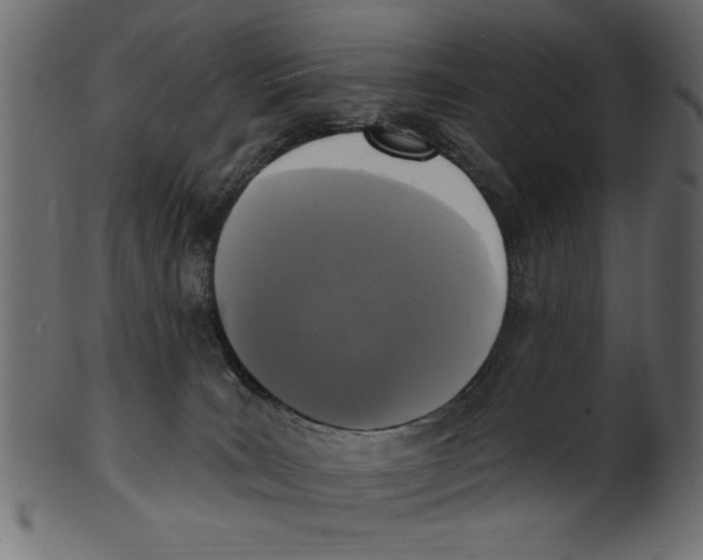 X0000100870035200807181246