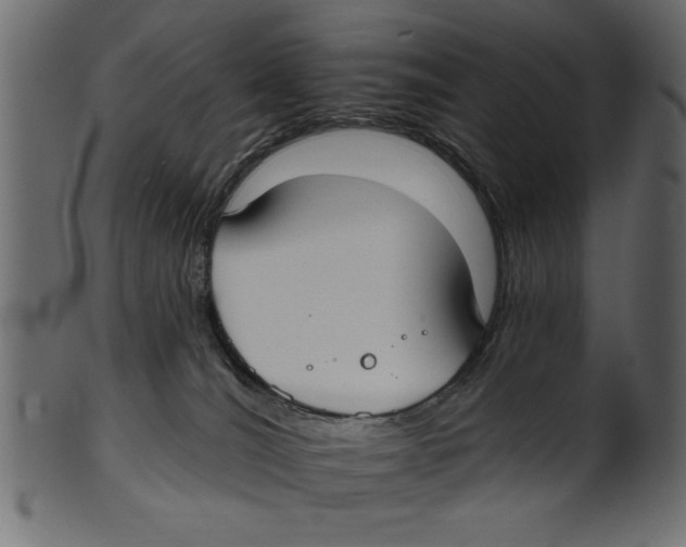 X0000100870036200807181246