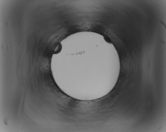 X0000100870037200807181246