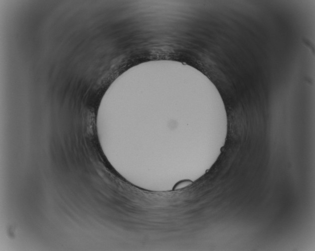 X0000100870038200807181246