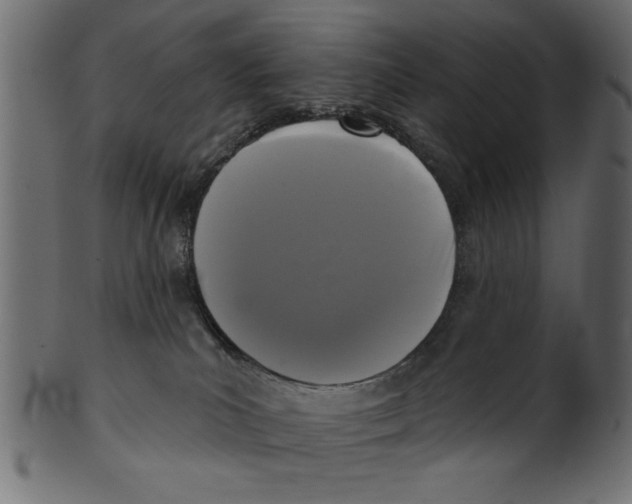X0000100870039200807181246