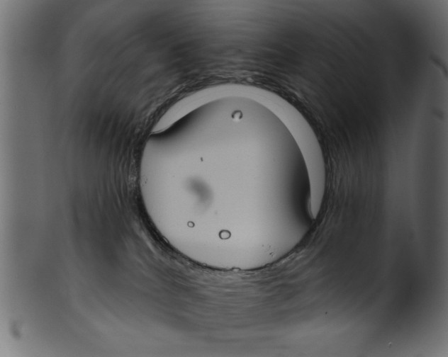 X0000100870040200807181246