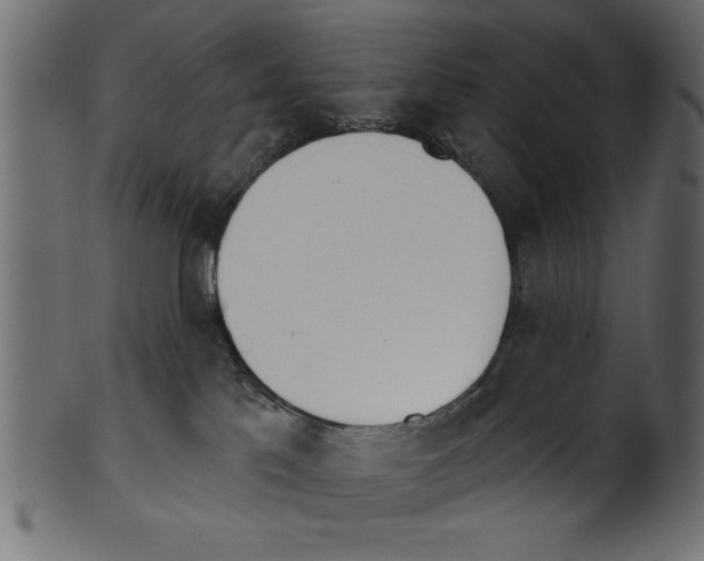 X0000100870041200807181246