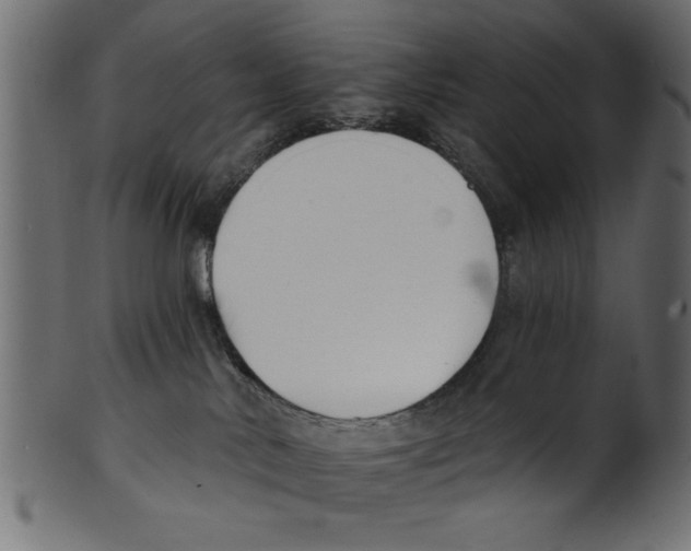 X0000100870042200807181246