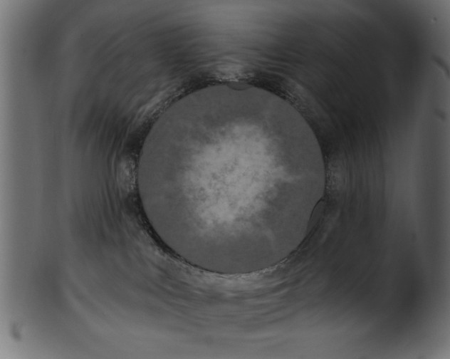 X0000100870043200807181246