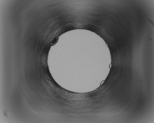 X0000100870044200807181246