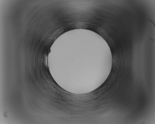 X0000100870046200807181246