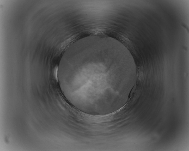 X0000100870047200807181246