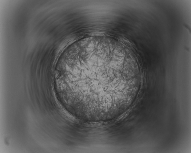X0000100870049200807181245