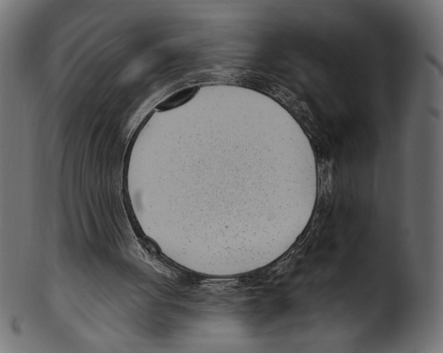 X0000100870051200807181245