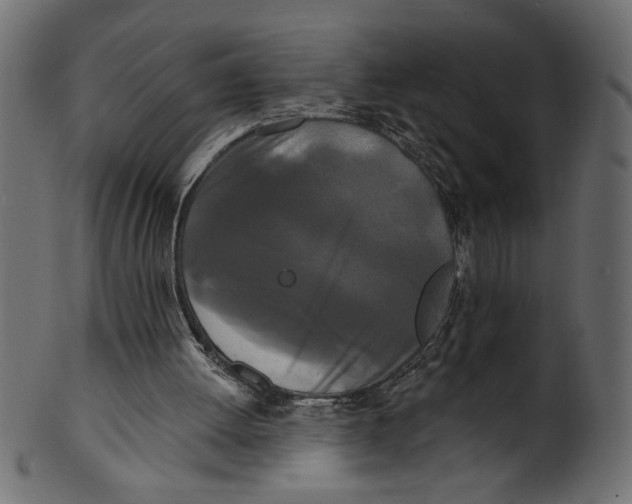 X0000100870052200807181245