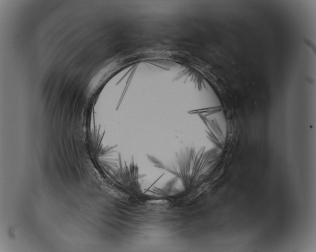 X0000100870053200807181245