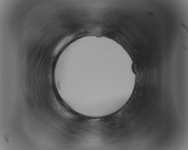 X0000100870054200807181245