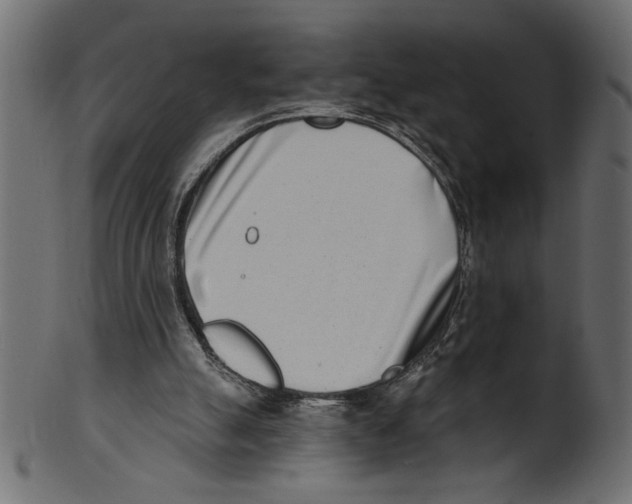 X0000100870055200807181246
